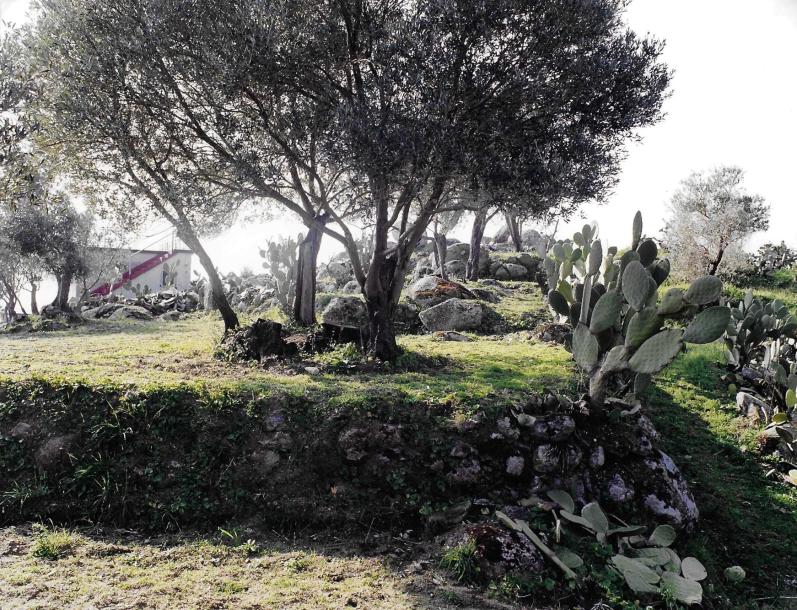 Rifugio per vacanza in Calabria-19