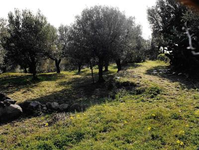Rifugio per vacanza in Calabria