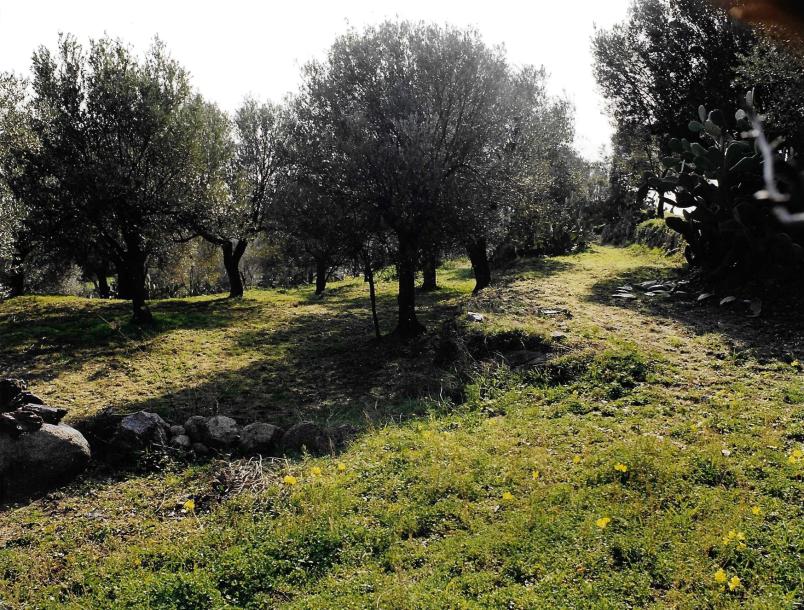 Rifugio per vacanza in Calabria-17