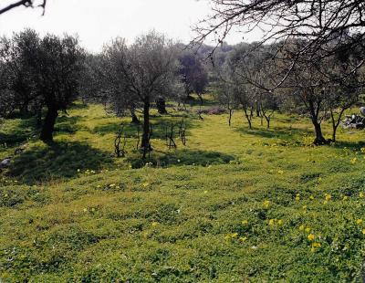 Rifugio per vacanza in Calabria
