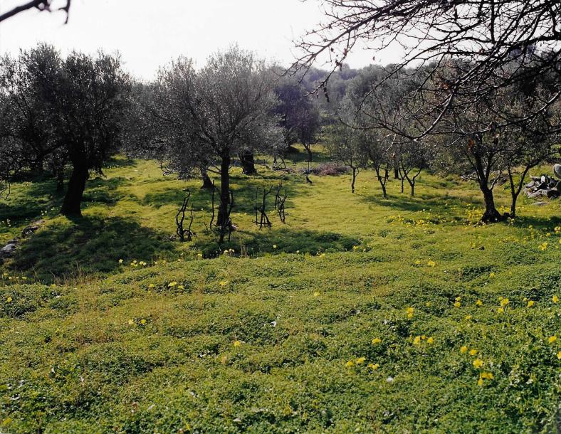 Rifugio per vacanza in Calabria-16