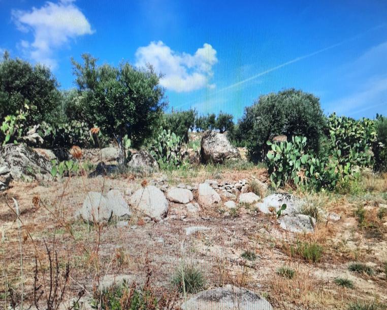 Rifugio per vacanza in Calabria-8