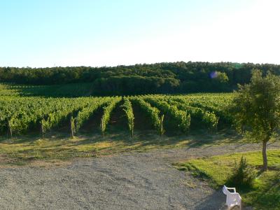 Wine farm