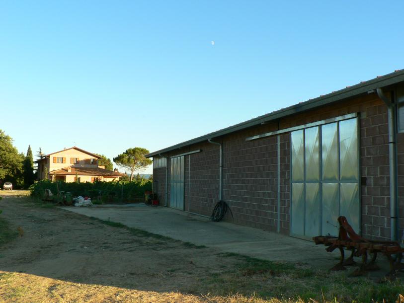 Wine farm-6