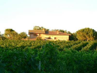 Wine farm