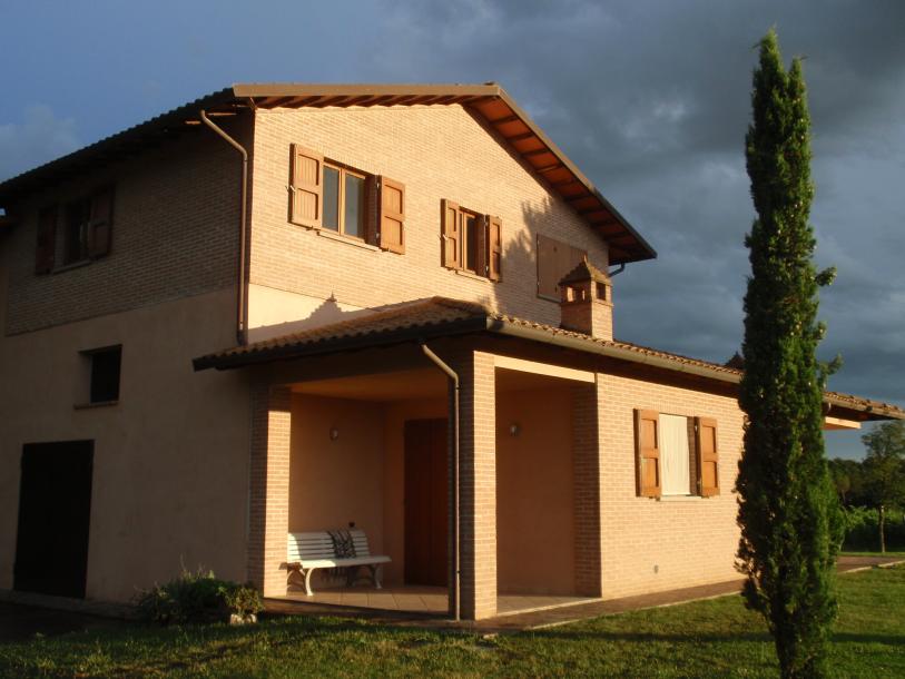 Wine farm-3