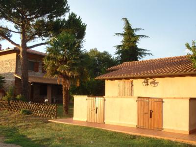 Wine farm