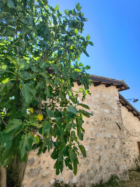 Einfamilienhaus mit privatem Innenhof-12
