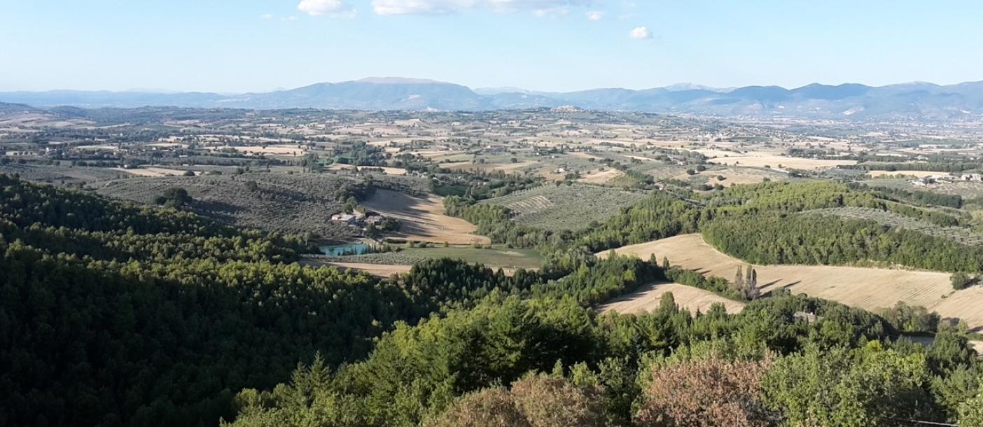 Middle-age tower with 16ha Land in Umbria-15