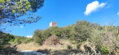Middle-age tower with 16ha Land in Umbria