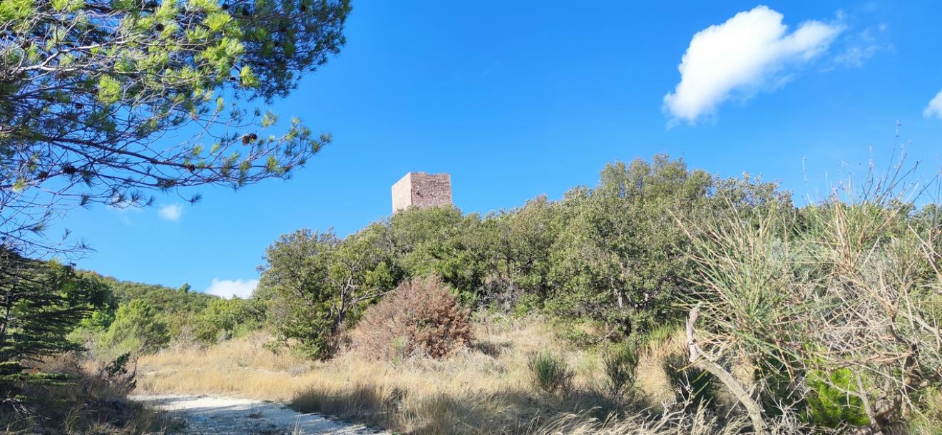 Middle-age tower with 16ha Land in Umbria-3