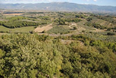 Middle-age tower with 16ha Land in Umbria