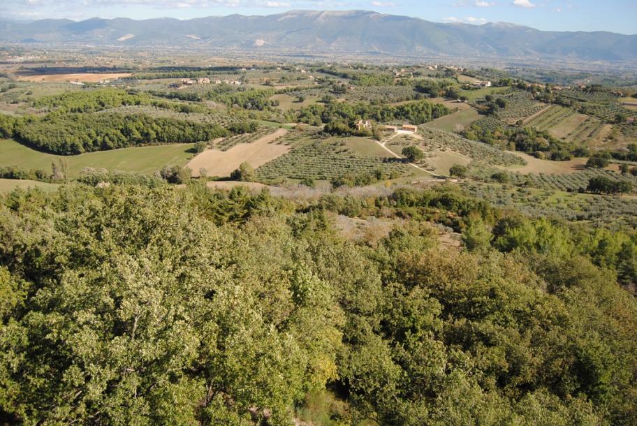 Middle-age tower with 16ha Land in Umbria-13