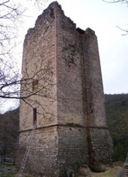 Middle-age tower with 16ha Land in Umbria-11