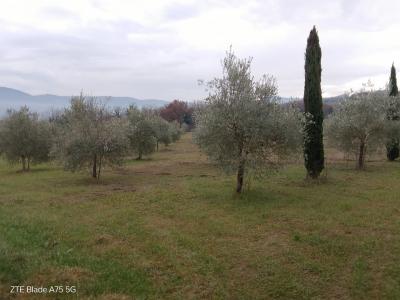 Ex convento del 600 con annessi in Umbria-14