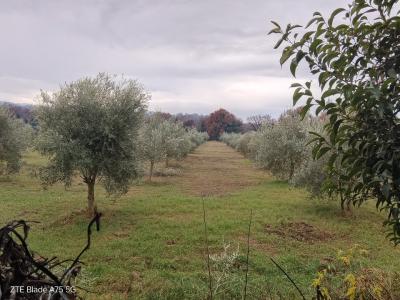 Ex convento del 600 con annessi in Umbria-12
