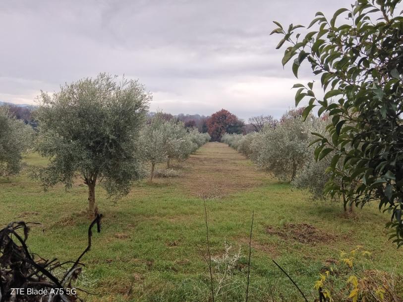 Ex convento del 600 con annessi in Umbria-12