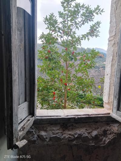 House in Umbria for renovation-15