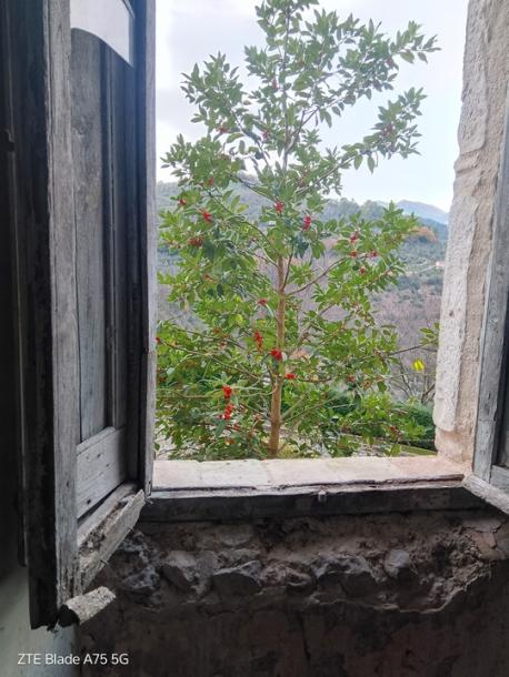 House in Umbria for renovation-15
