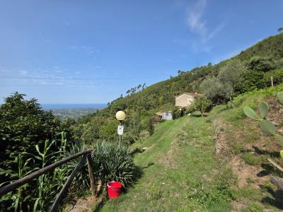 Stone house with seaview in Versilia