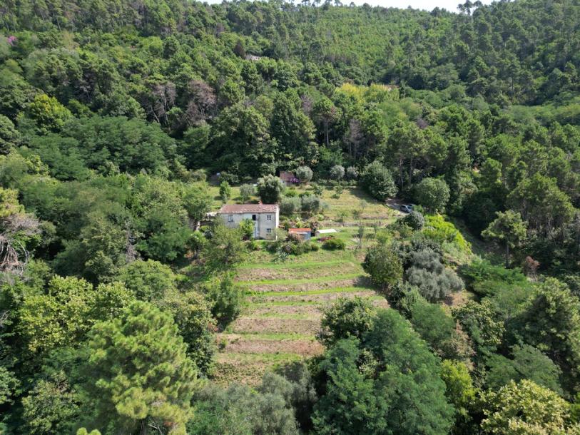 Stone house with seaview in Versilia-3