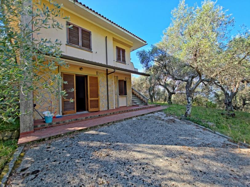 A hill with seaview and house above Camaiore-14