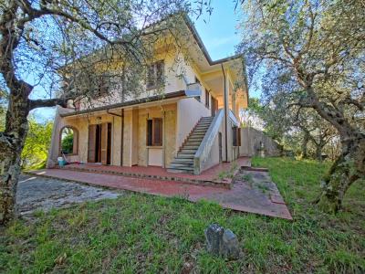 A hill with seaview and house above Camaiore-1