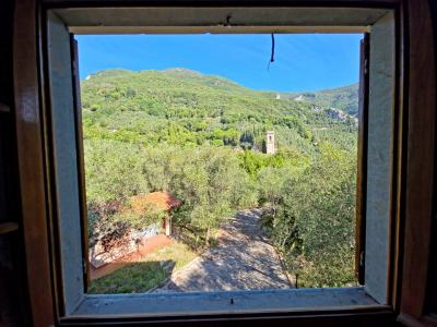 A hill with seaview and house above Camaiore-12