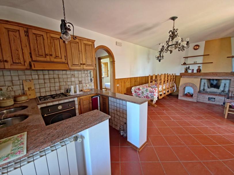 A hill with seaview and house above Camaiore-11