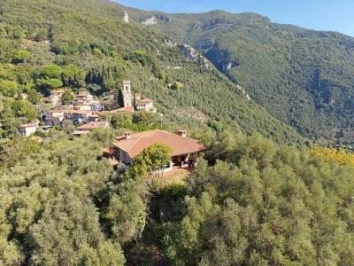 A hill with seaview and house above Camaiore-6