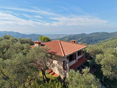 A hill with seaview and house above Camaiore-5
