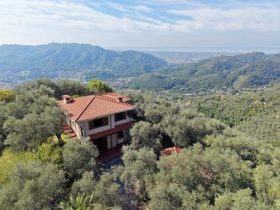 A hill with seaview and house above Camaiore-4