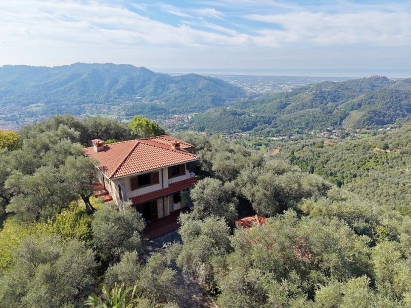 A hill with seaview and house above Camaiore-4