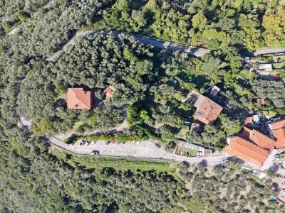 A hill with seaview and house above Camaiore-2