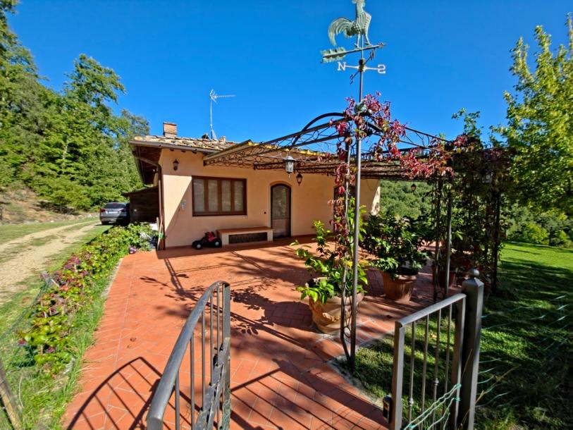 Usedlost v Greve in Chianti s loveckým povolením-1