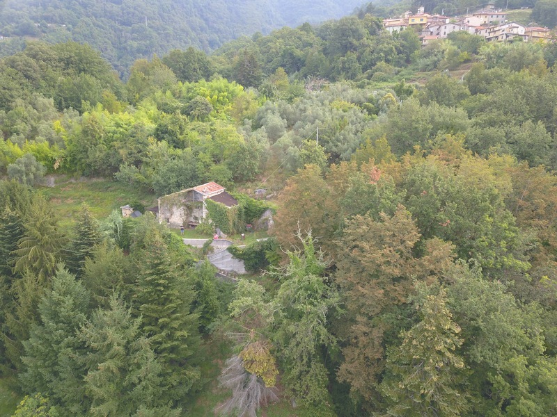 Rural cottage in Versilia with sea view