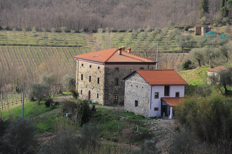 2 large stone houses