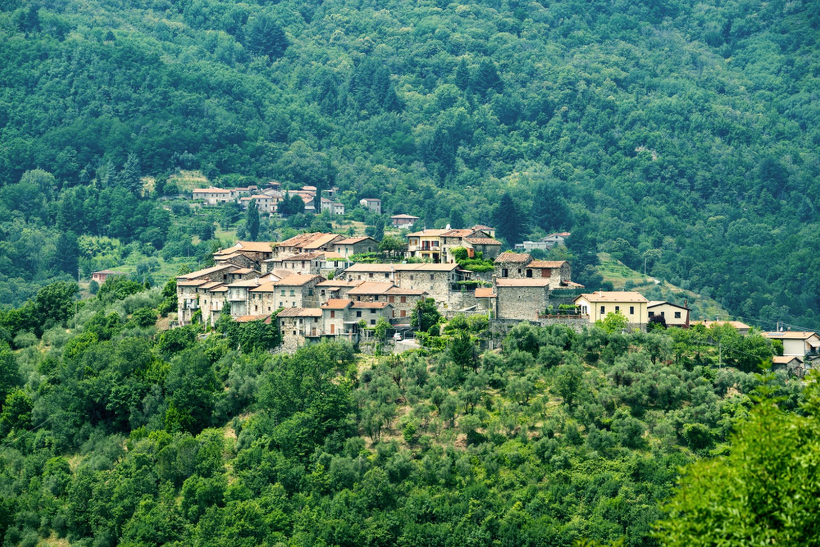 Dante and Lunigiana