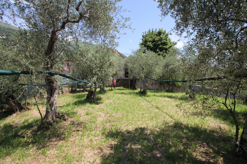 Rustikales Steinhaus zur Renovierung in Pieve di Camaiore – Versilia