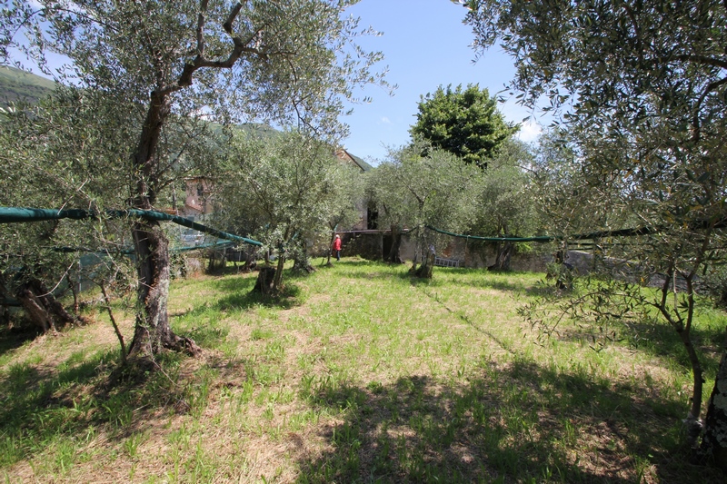 Rustico near Camaiore for Sale