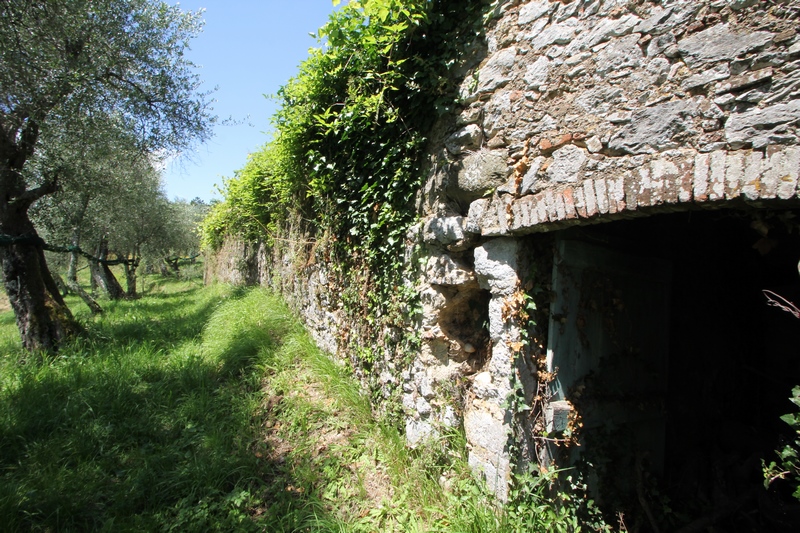 Rustikales Steinhaus zur Renovierung in Pieve di Camaiore – Versilia
