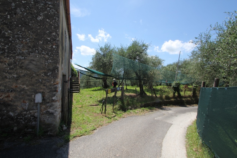Rustikales Steinhaus zur Renovierung in Pieve di Camaiore – Versilia