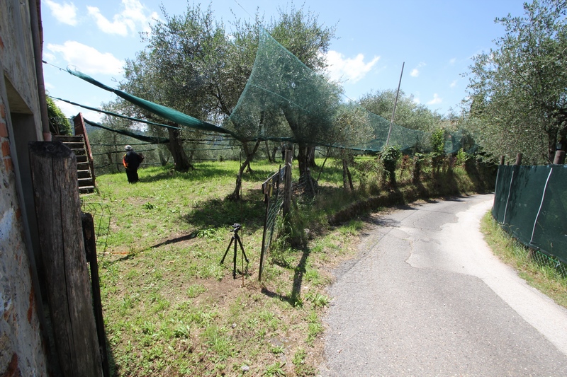 Rustikales Steinhaus zur Renovierung in Pieve di Camaiore – Versilia