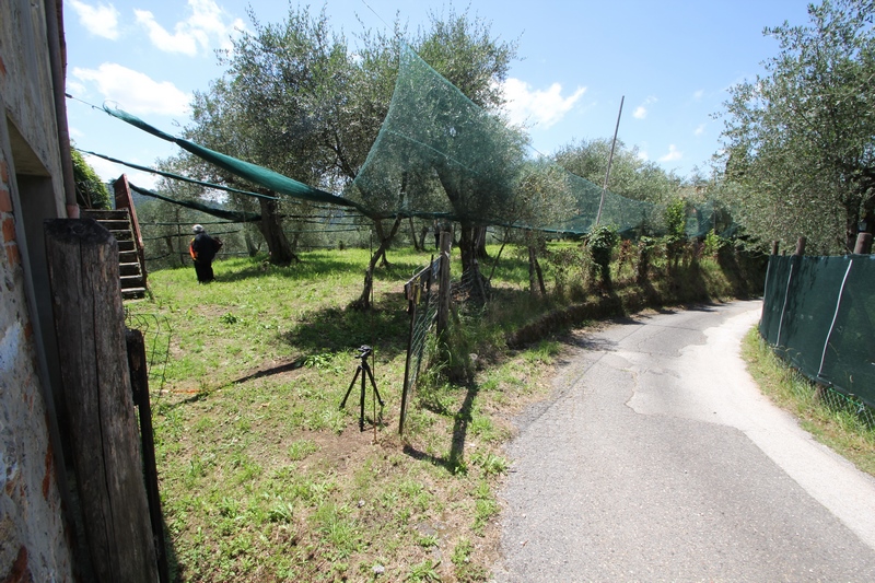 Rustico vicino Camaiore in vendita