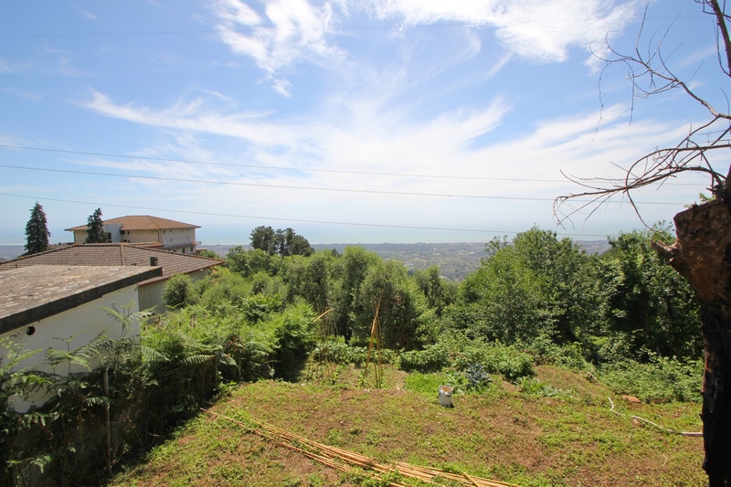 Stone House with Sea View in Montignoso Hills – Large Land for Renovation