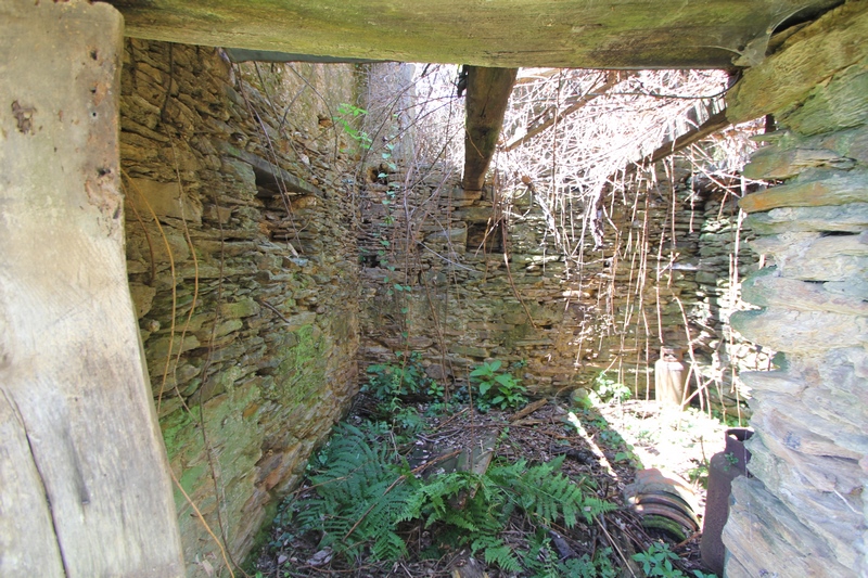 Rustico-Ruine mit Meerblick