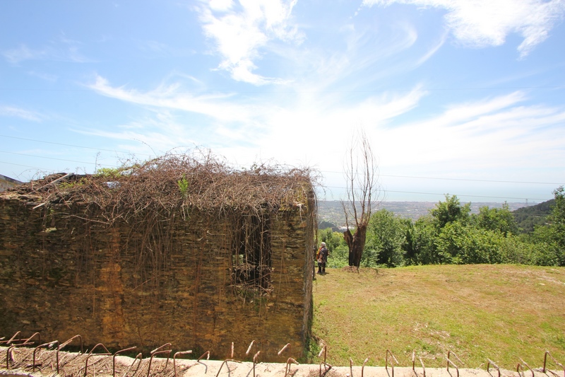 Stone House with Sea View in Montignoso Hills – Large Land for Renovation
