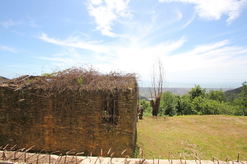 Rustico-Ruine mit Meerblick