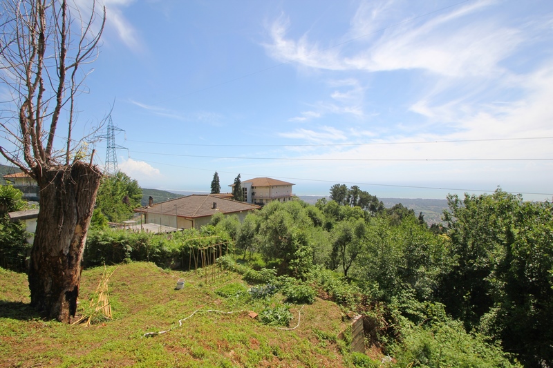 Stone House with Sea View in Montignoso Hills – Large Land for Renovation