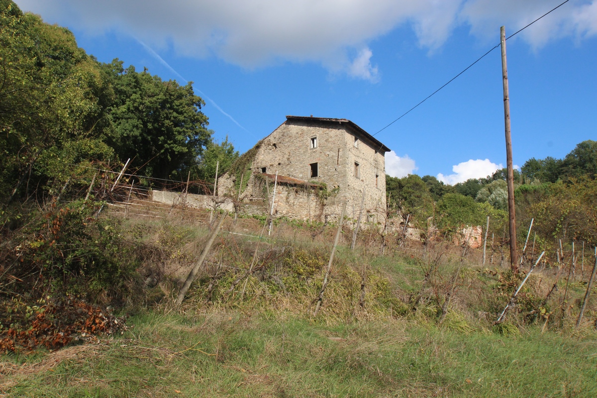 Historic Stone Houses with Vineyard – Pontremoli, Tuscany